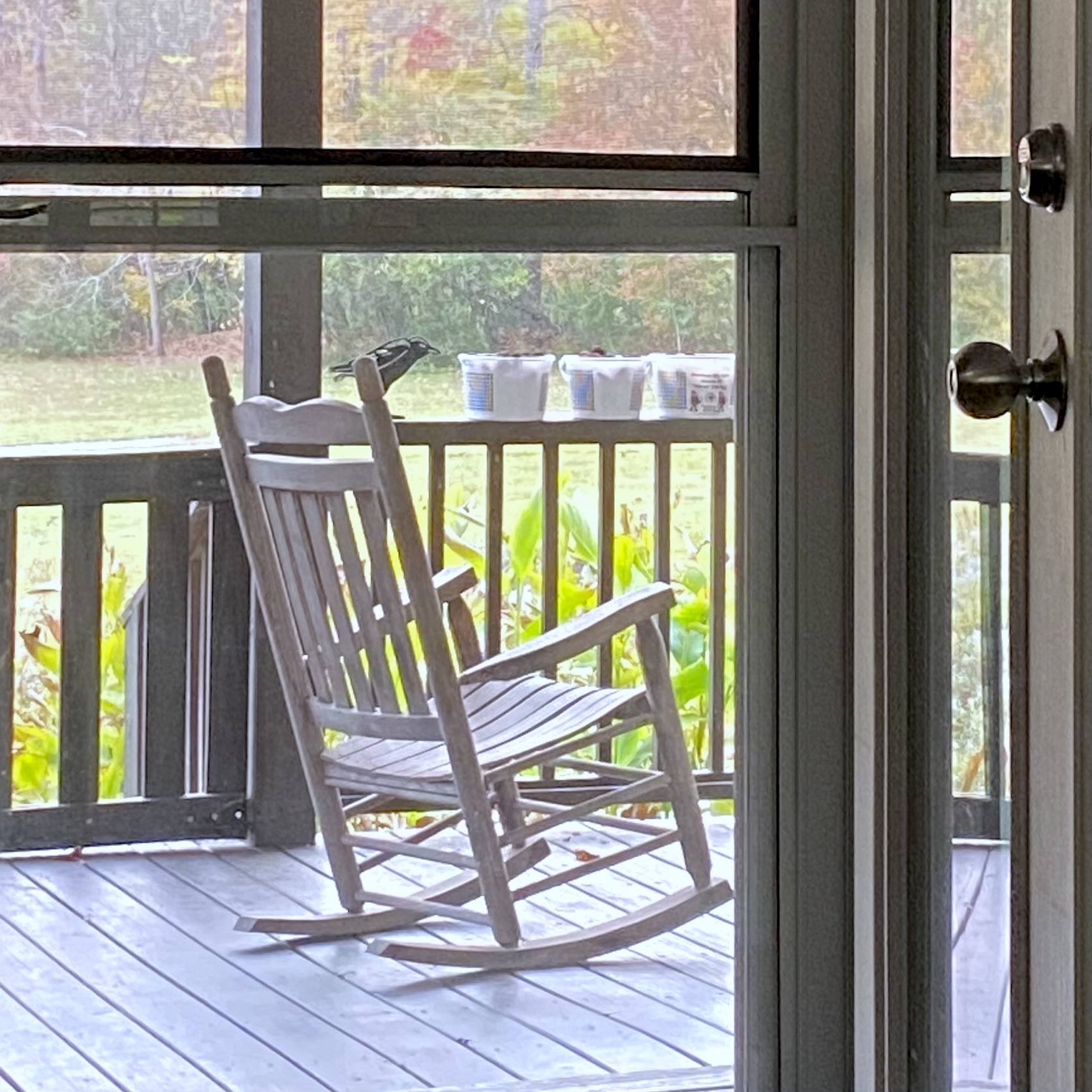 Rocking chair on a deck overlooking fall foliage in the mountains of Western North Carolina