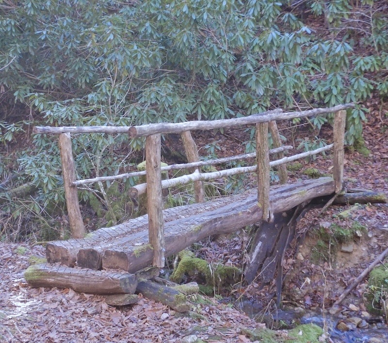 Rustic log footbridge over a mossy creek in the Western North Carolina woods