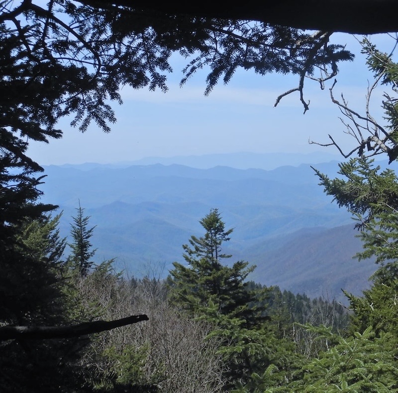 Layered blue ridgelines of Western North Carolina framed by evergreen branches